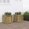 vidaXL - Plantenbakken - 2 - st - cm - geïmpregneerd - hout
