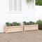 vidaXL - Plantenbakken - 2 - st - cm - massief - grenenhout
