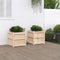 vidaXL - Plantenbakken - 2 - st - cm - massief - grenenhout