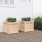 vidaXL - Plantenbakken - 2 - st - cm - massief - grenenhout