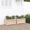 vidaXL - Plantenbakken - 2 - st - cm - massief - grenenhout