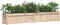 vidaXL - Plantenbakken - 2 - st - cm - massief - grenenhout