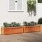 vidaXL - Plantenbakken - 2 - st - cm - massief - grenenhout - wasbruin