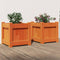 vidaXL - Plantenbakken - 2 - st - cm - massief - grenenhout - wasbruin