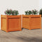 vidaXL - Plantenbakken - 2 - st - cm - massief - grenenhout - wasbruin