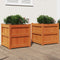 vidaXL - Plantenbakken - 2 - st - cm - massief - grenenhout - wasbruin