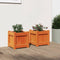 vidaXL - Plantenbakken - 2 - st - cm - massief - grenenhout - wasbruin