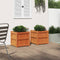 vidaXL - Plantenbakken - 2 - st - cm - massief - grenenhout - wasbruin