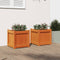vidaXL - Plantenbakken - 2 - st - cm - massief - grenenhout - wasbruin