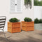 vidaXL - Plantenbakken - 2 - st - cm - massief - grenenhout - wasbruin