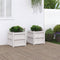 vidaXL - Plantenbakken - 2 - st - cm - massief - grenenhout - wit