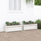 vidaXL - Plantenbakken - 2 - st - cm - massief - grenenhout - wit