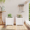 vidaXL - Plantenbakken - 2 - st - cm - massief - grenenhout - wit