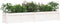 vidaXL - Plantenbakken - 2 - st - cm - massief - grenenhout - wit