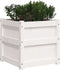 vidaXL - Plantenbakken - 2 - st - cm - massief - grenenhout - wit
