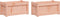 vidaXL - Plantenbakken - 2 - st - massief - douglashout
