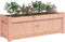 vidaXL - Plantenbakken - 2 - st - massief - douglashout