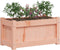 vidaXL - Plantenbakken - 2 - st - massief - douglashout