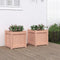vidaXL - Plantenbakken - 2 - st - massief - douglashout