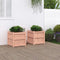 vidaXL - Plantenbakken - 2 - st - massief - douglashout