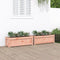 vidaXL - Plantenbakken - 2 - st - massief - douglashout