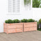 vidaXL - Plantenbakken - 2 - st - massief - douglashout