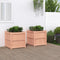 vidaXL - Plantenbakken - 2 - st - massief - douglashout