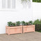 vidaXL - Plantenbakken - 2 - st - massief - douglashout