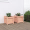 vidaXL - Plantenbakken - 2 - st - massief - douglashout
