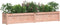 vidaXL - Plantenbakken - 2 - st - massief - douglashout