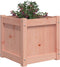 vidaXL - Plantenbakken - 2 - st - massief - douglashout