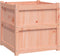 vidaXL - Plantenbakken - 2 - st - massief - douglashout