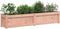 vidaXL - Plantenbakken - 2 - st - massief - douglashout