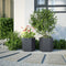 vidaXL - Plantenbakken - 2 - st - zeshoek - 46x40x45 - cm - staal - antracietkleurig