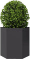 vidaXL - Plantenbakken - 2 - st - zeshoek - 46x40x45 - cm - staal - zwart
