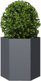 vidaXL - Plantenbakken - 2 - st - zeshoek - 46x40x45 - cm - staal - antracietkleurig