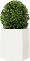 vidaXL - Plantenbakken - 2 - st - zeshoek - 46x40x45 - cm - staal - wit