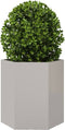 vidaXL - Plantenbakken - 2 - st - zeshoek - 46x40x45 - cm - roestvrijstaal
