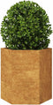 vidaXL - Plantenbakken - 2 - st - zeshoek - 46x40x45 - cm - weervast - staal