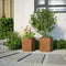 vidaXL - Plantenbakken - 2 - st - zeshoek - 46x40x45 - cm - weervast - staal