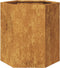 vidaXL - Plantenbakken - 2 - st - zeshoek - 46x40x45 - cm - weervast - staal