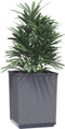 vidaXL - Plantenbakken - 4 - st - 30x30x37 - cm - polypropeen - donkergrijs