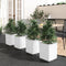 vidaXL - Plantenbakken - 4 - st - 30x30x37 - cm - polypropeen - wit