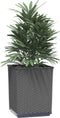 vidaXL - Plantenbakken - 4 - st - 30x30x37 - cm - polypropeen - zwart