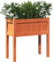 vidaXL - Plantenbakken - met - poten - 2 - st - cm - massief - grenenhout - wasbruin