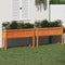 vidaXL - Plantenbakken - met - poten - 2 - st - cm - massief - grenenhout - wasbruin