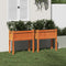 vidaXL - Plantenbakken - met - poten - 2 - st - cm - massief - grenenhout - wasbruin