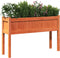 vidaXL - Plantenbakken - met - poten - 2 - st - cm - massief - grenenhout - wasbruin