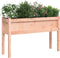 vidaXL - Plantenbakken - met - poten - 2 - st - massief - douglashout