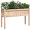 vidaXL - Plantenbakken - met - poten - 2 - st - massief - grenenhout